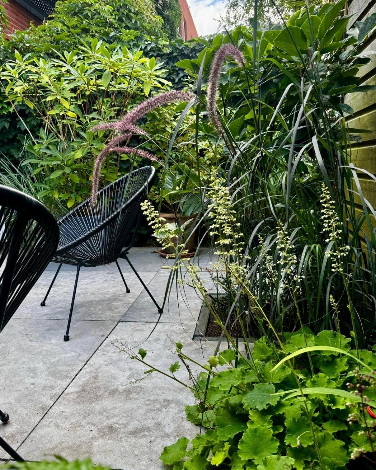 أمستردام B&B Urban Oasis المظهر الخارجي الصورة